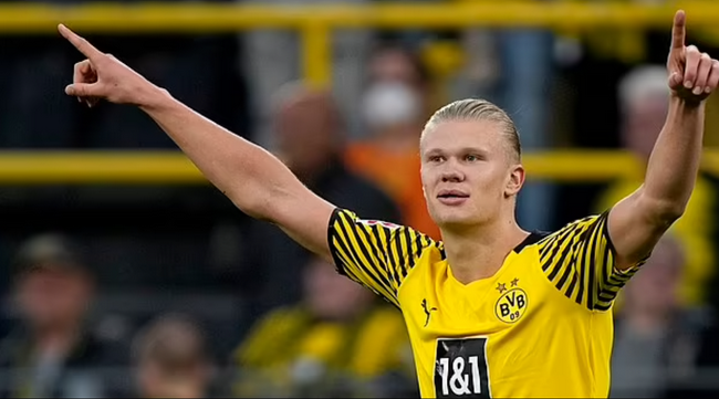 下一回合尼 下一回合尼